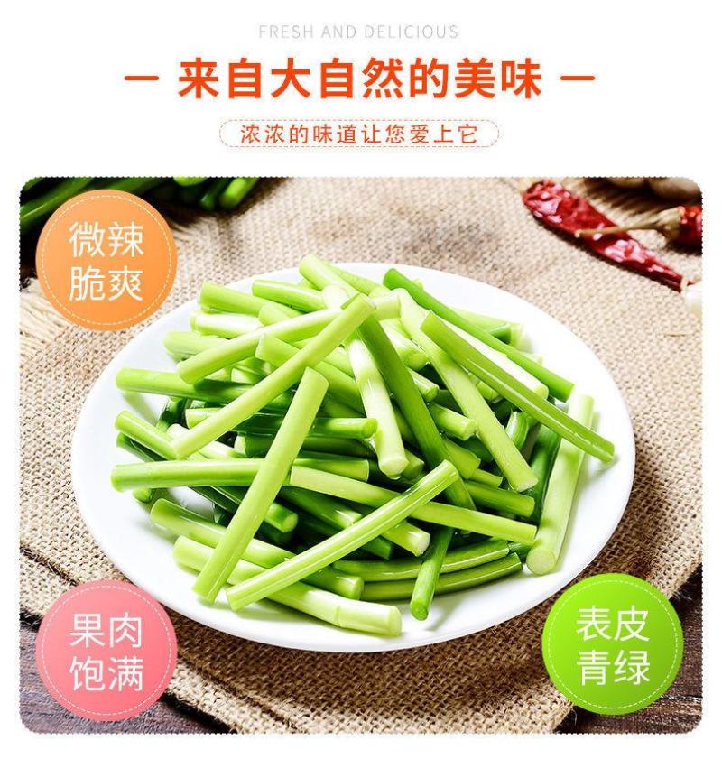 一件代发23年新鲜蒜苔新鲜蒜薹批发1斤3斤蒜苔嫩红帽蒜苔