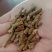 碎玉米颗粒，玉米颗可见，好吸收，好消化！