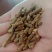 玉米颗粒，碎玉米颗粒，适口性好，厂家直销