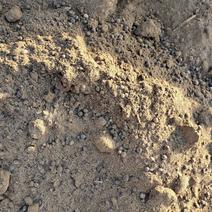 纯羊粪，无沙石土，水分十左右有机肥料基质肥料培育基质羊粪