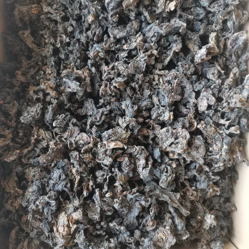 新货过筛地皮菜大量上市。疯狂抢购中