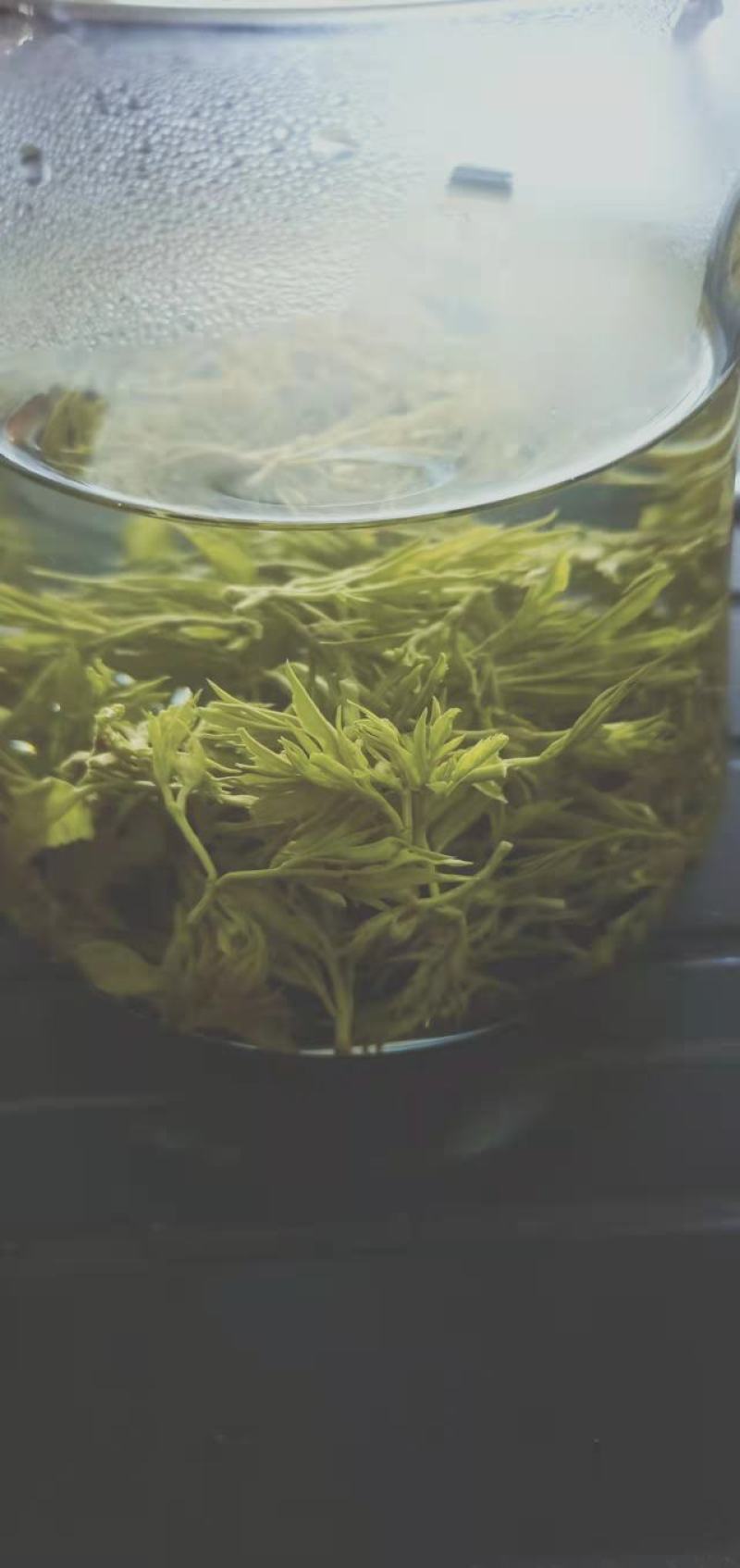 2022新茶来凤富硒藤茶特级芽尖茶降三高改善亚健康批零兼