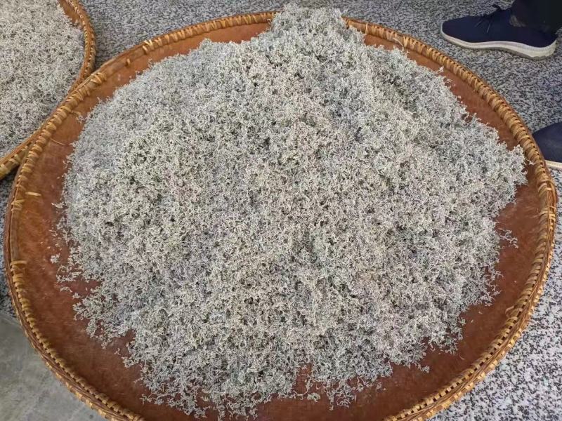 2022新茶来凤富硒藤茶特级芽尖茶降三高改善亚健康批零兼
