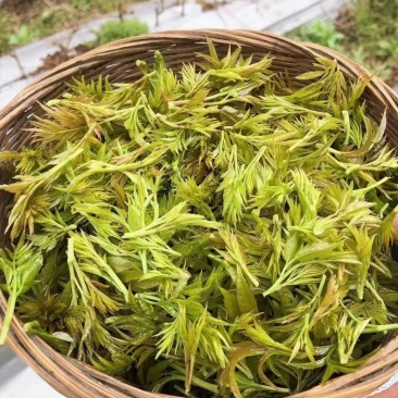2022新茶来凤富硒藤茶特级芽尖茶降三高改善亚健康批零兼