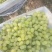 久红瑞小密25玉菇博洋系列甜瓜，维多利亚乒乓球金手指等