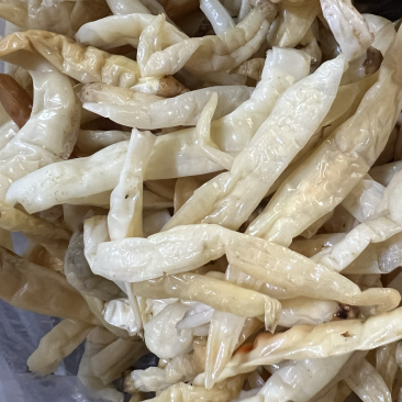 白辣椒质量很好坛香味浓湖南特产曝辣椒卜辣椒线椒