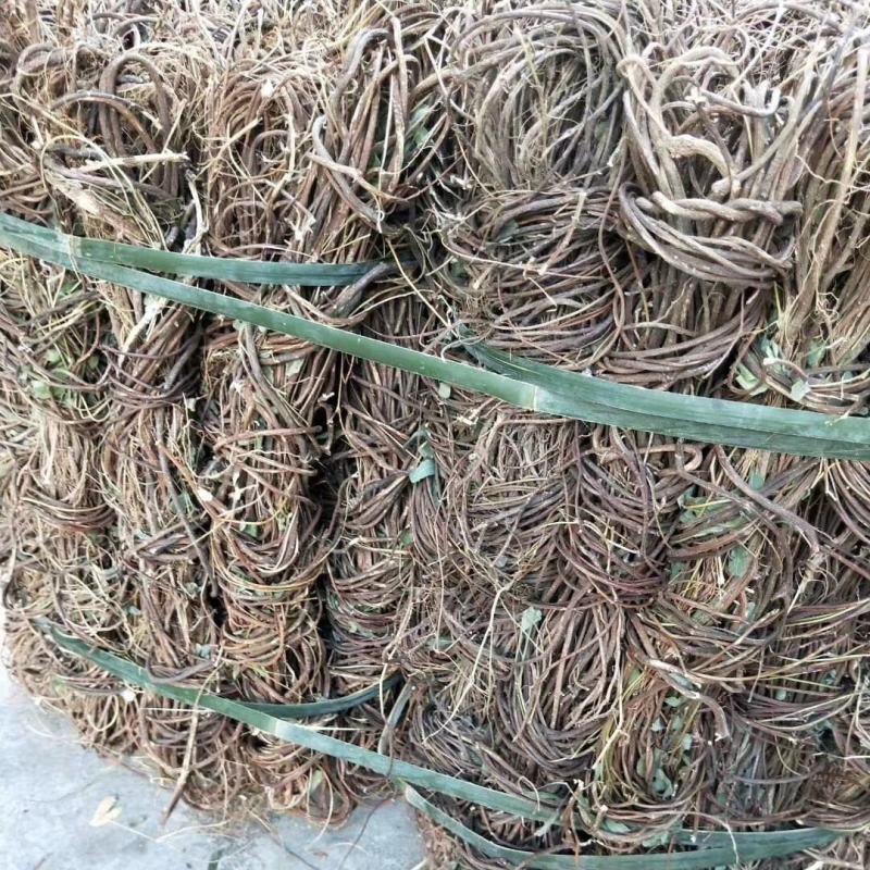 广东纯野生鸡骨草，靓干货无硫自然干晒，二十斤起发货