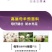 4%母羊预混料妊娠哺乳期怀孕繁殖专用饲料支持代工