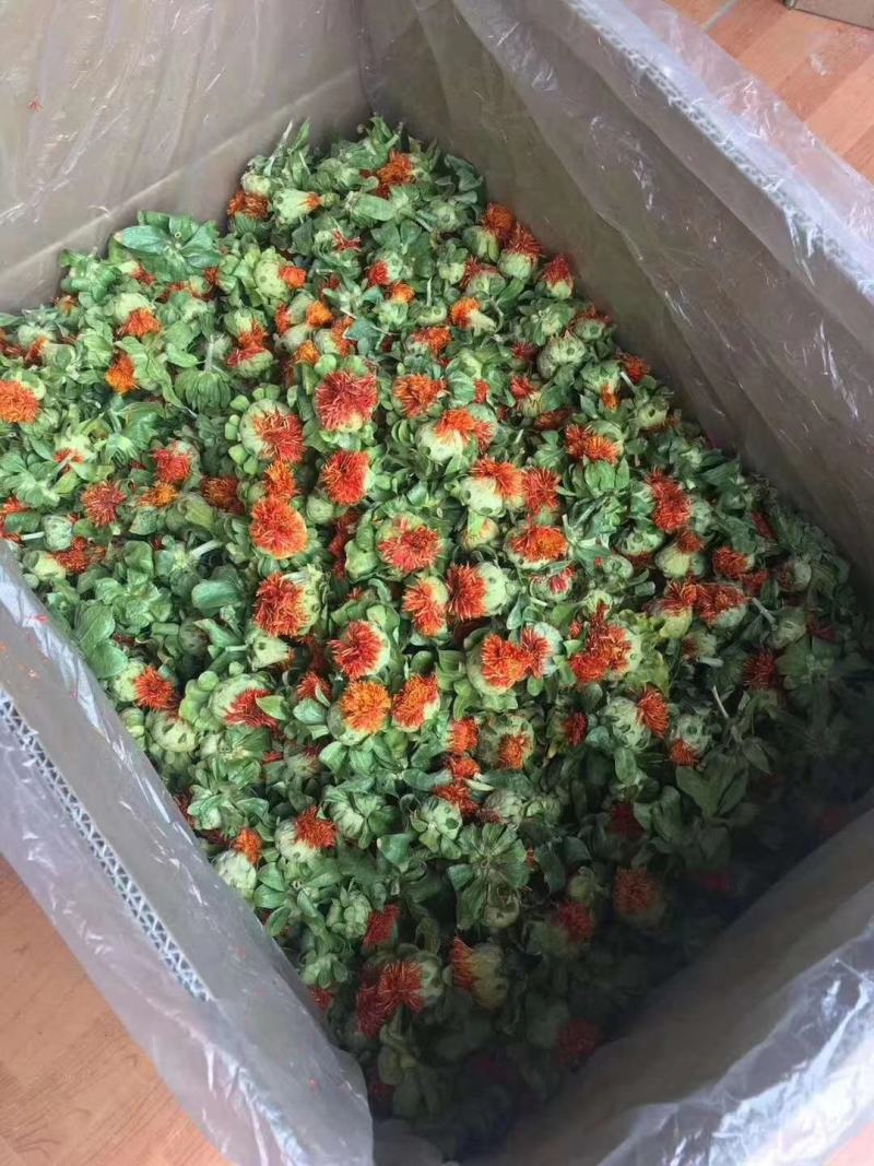 红花又名橙波萝泡水喝今年新货花红叶绿江湖地摊产品批发