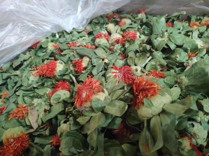 红花又名橙波萝泡水喝今年新货花红叶绿江湖地摊产品批发