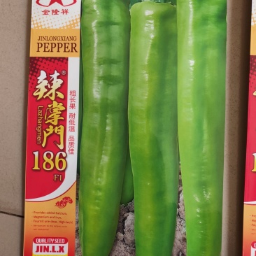 辣掌门186杂交一代长牛角椒种子1000粒/袋