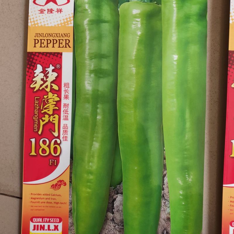 辣掌门186杂交一代长牛角椒种子1000粒/袋