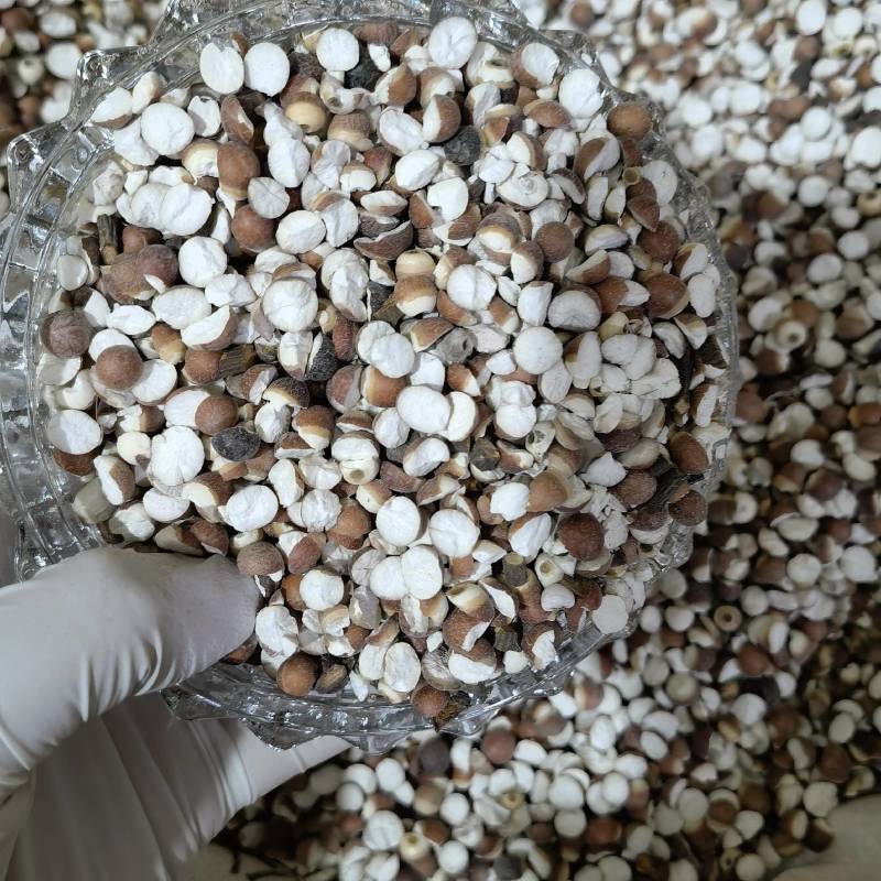 芡实实图拍摄当天发货产地采购欢迎选购货源充足