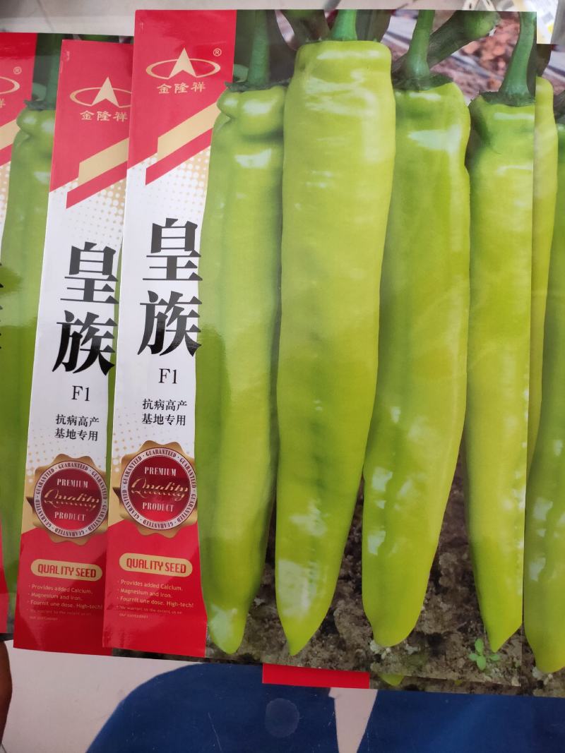 皇族长羊角型辣椒种子黄亮光滑顺直羊角椒种子