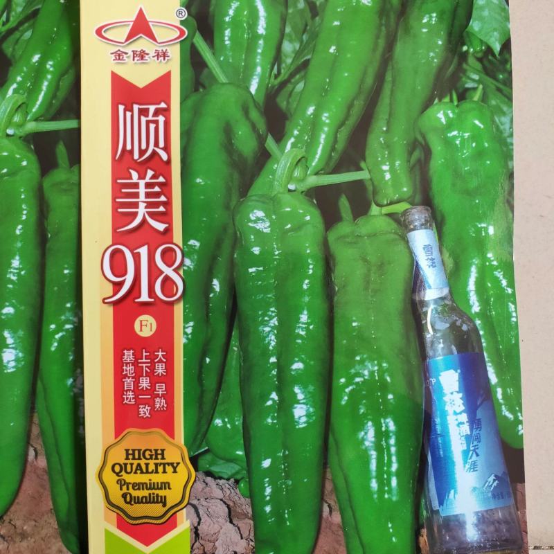 顺美918泡椒种子30多个果左右早熟杂交一代包