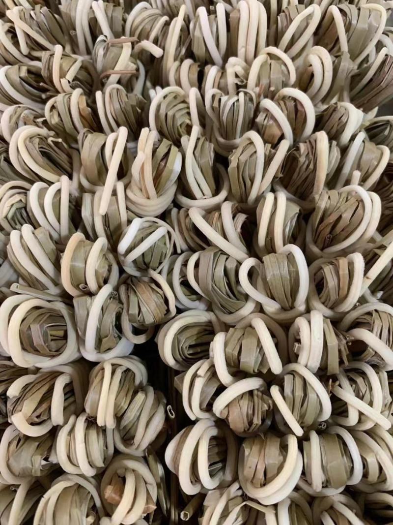 灯心草【包邮】三扎起发货可批量可零售量大从优