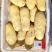 大棚新土豆,山东肥城,黄皮黄瓤土豆大量供应