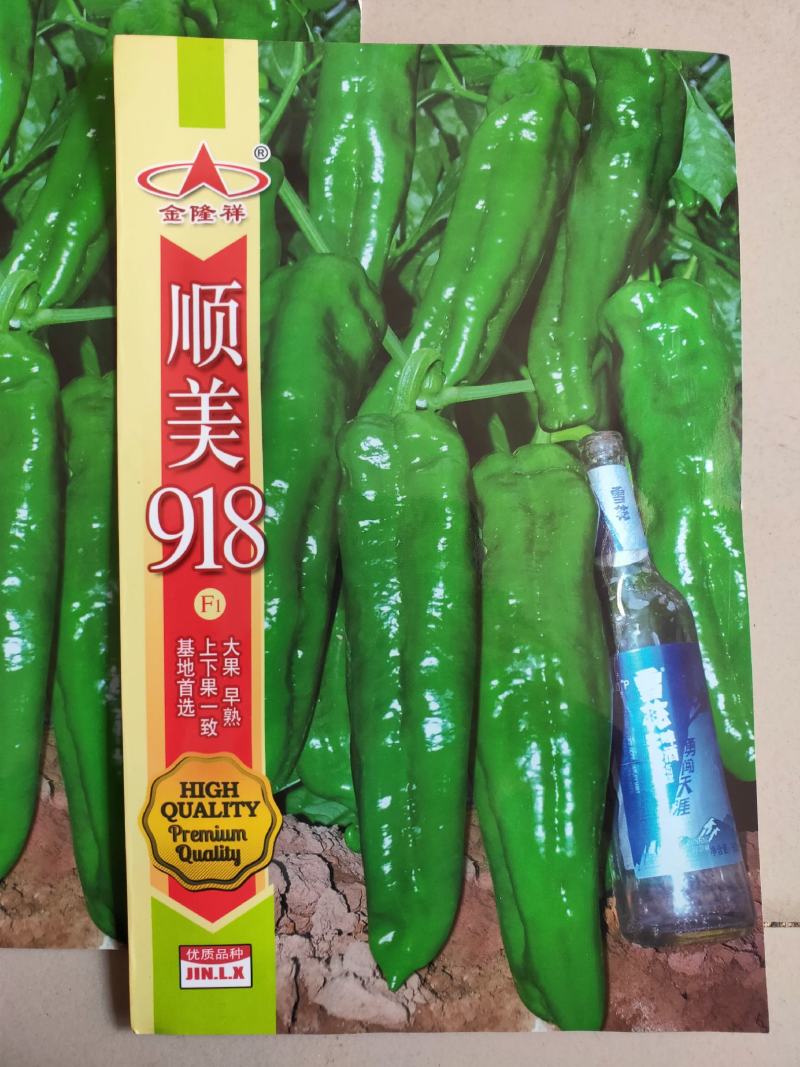 顺美918泡椒种子30多个果左右早熟杂交一代包