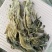 干盐菜心梅干菜梅菜咸菜干菜心