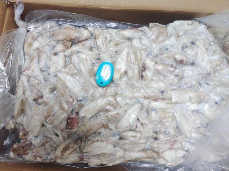 笔管鱼灯光船冻陆冻火锅食材，市场批发
