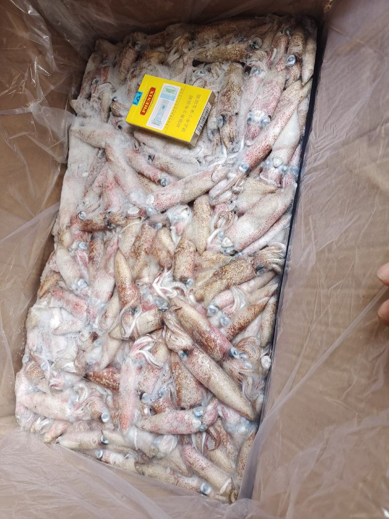 笔管鱼灯光船冻陆冻火锅食材，市场批发