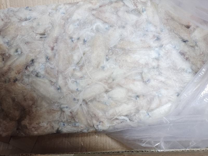笔管鱼灯光船冻陆冻火锅食材，市场批发