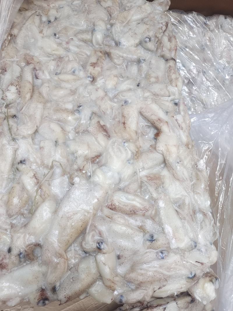 笔管鱼灯光船冻陆冻火锅食材，市场批发