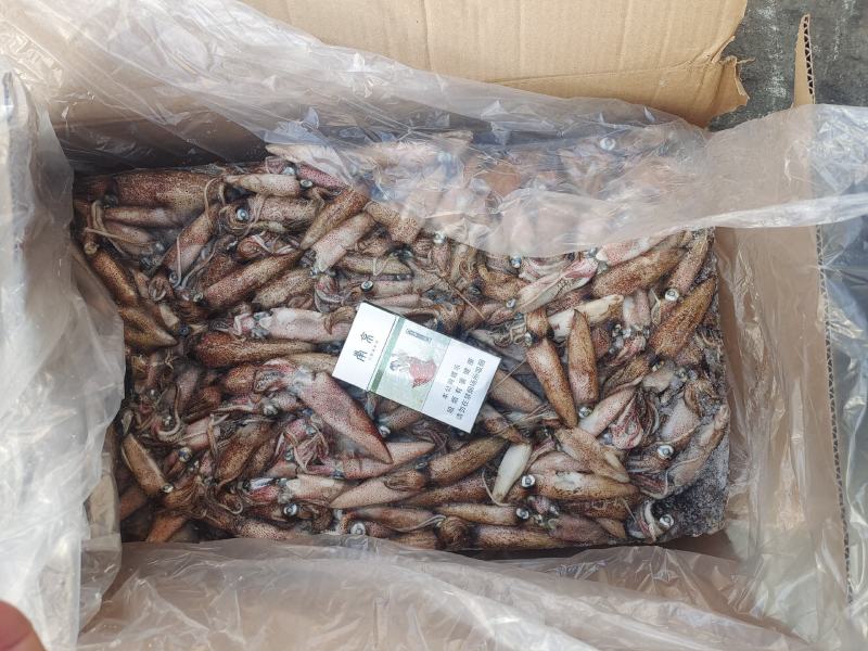 笔管鱼灯光船冻陆冻火锅食材，市场批发