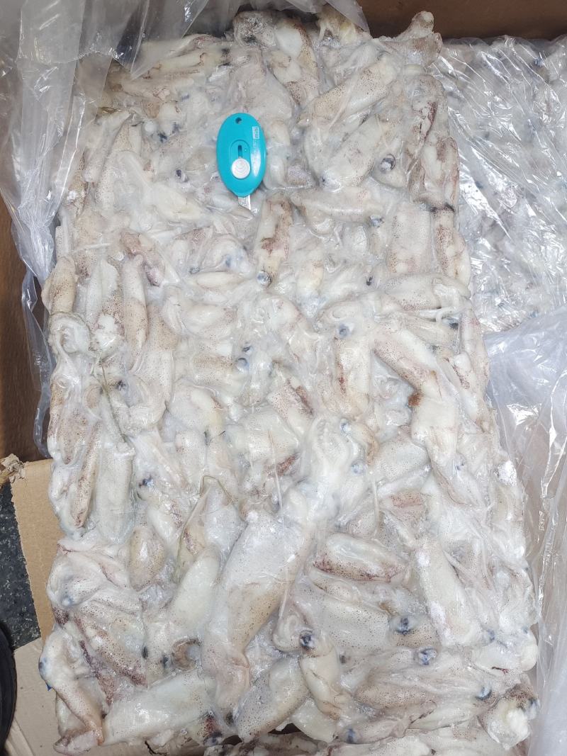 笔管鱼灯光船冻陆冻火锅食材，市场批发