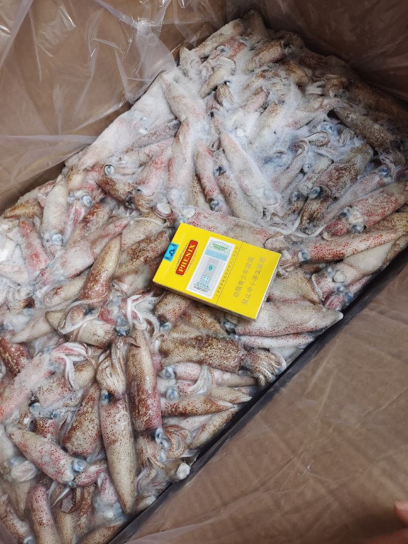 笔管鱼灯光船冻陆冻火锅食材，市场批发