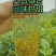 【精品推荐】张家界永定区藤茶，一手货源，基地直发，全国发货