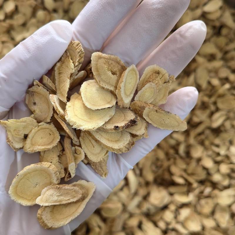 黄芪产地甘肃实图拍摄今年新货欢迎选购当天发货
