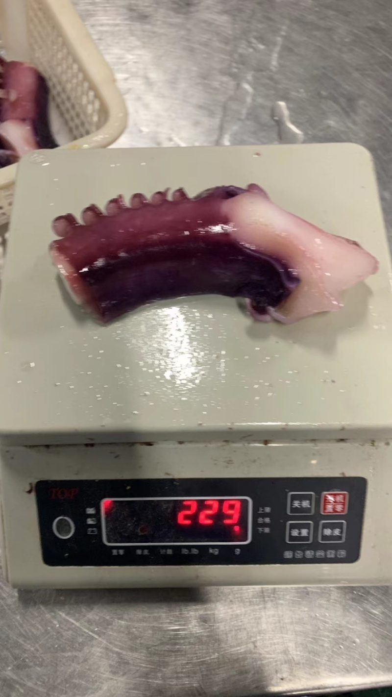 章鱼足，脆口片