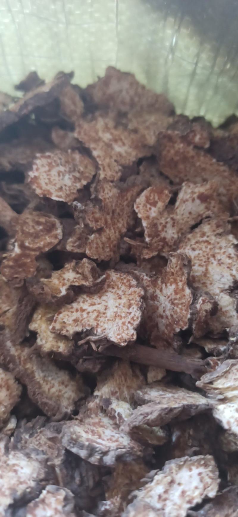 苍术各种规格苍术气味浓无硫质量保证量大从优