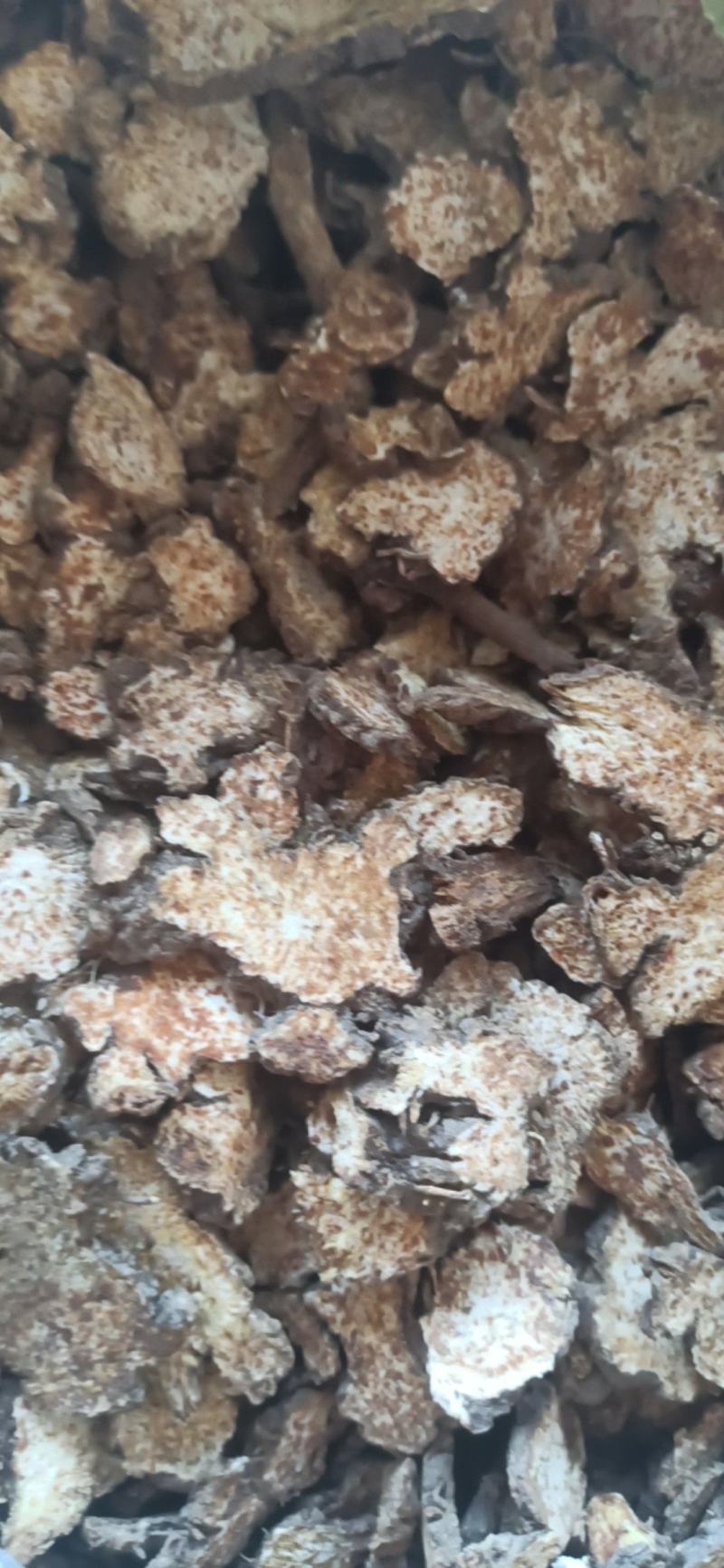 苍术各种规格苍术气味浓无硫质量保证量大从优
