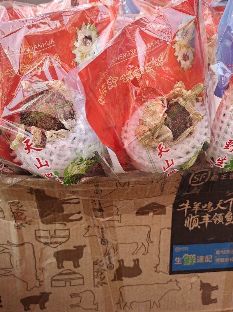 雪莲干天山雪莲新疆天山雪莲干泡酒无硫无杂质雪莲花