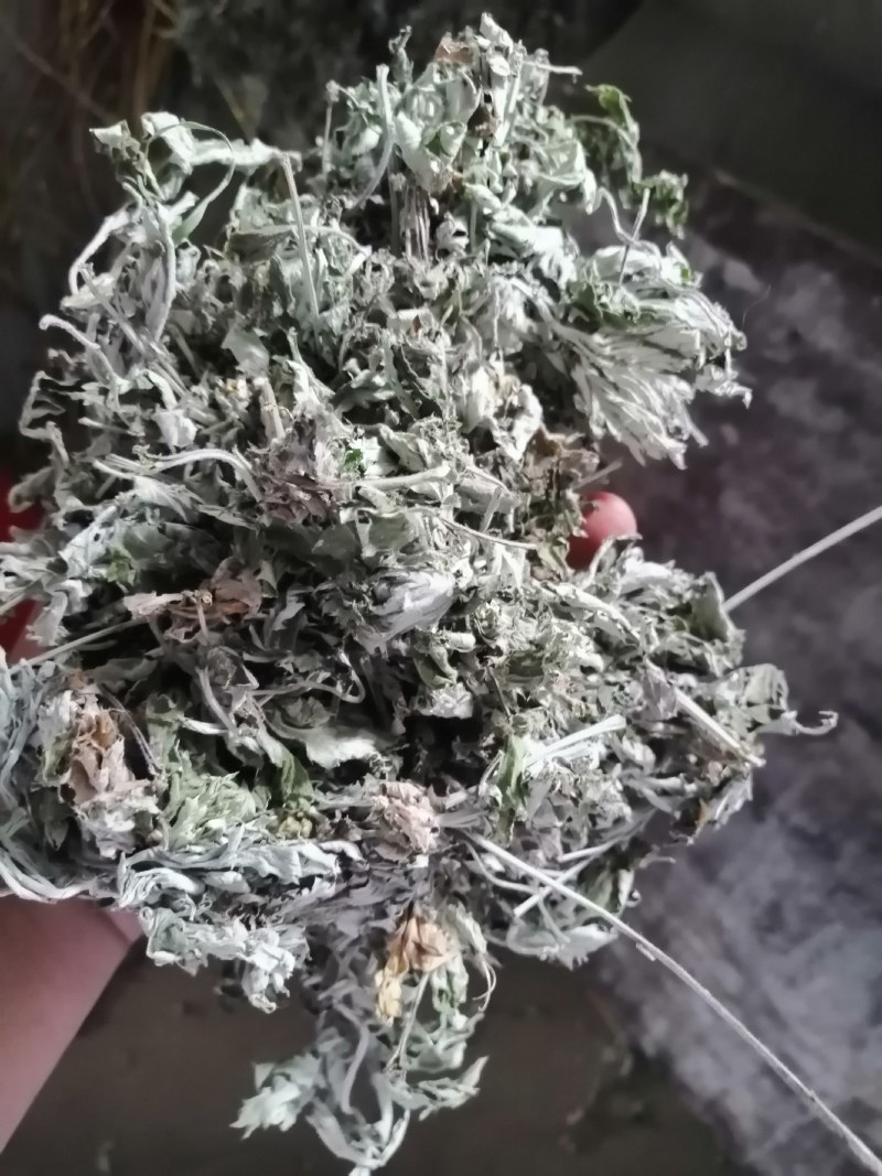 来自伏牛山的大白艾叶属于中国四大名艾。气味足