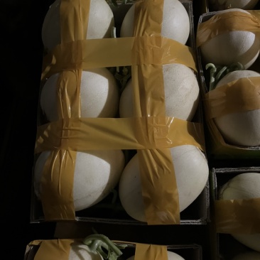 正宗台州东方蜜