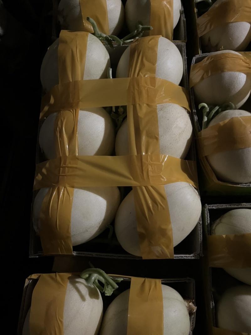 正宗台州东方蜜