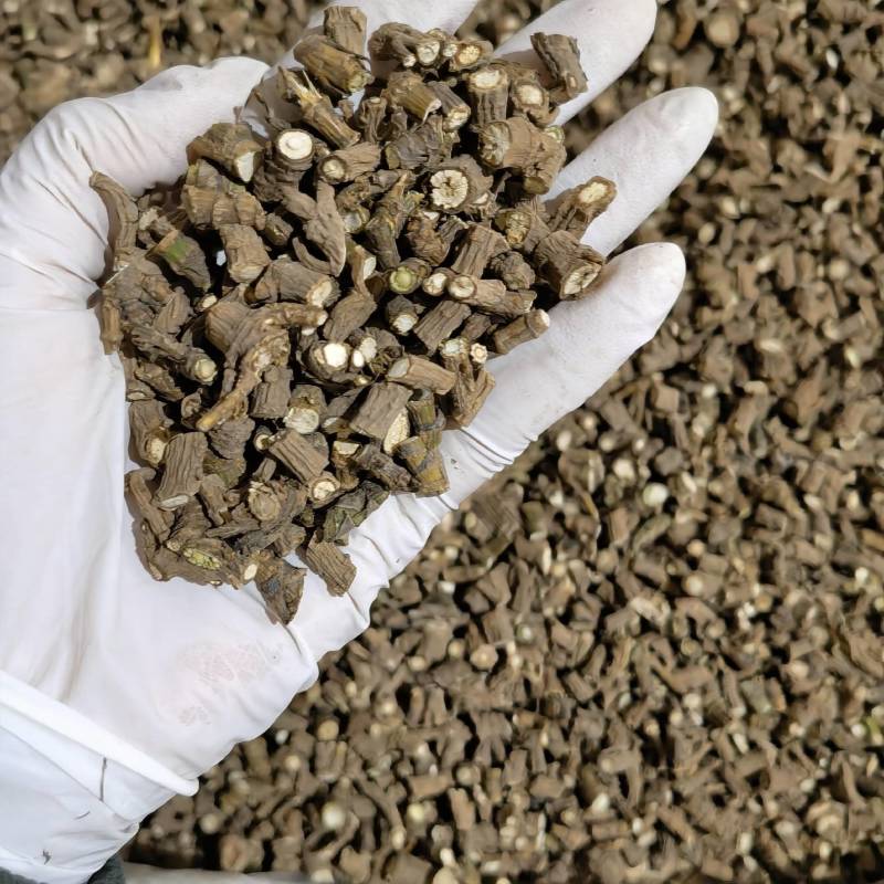 藏柴胡选货实图拍摄当天发货货源充足欢迎选购