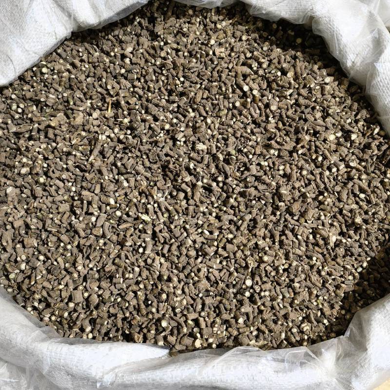 藏柴胡选货实图拍摄当天发货货源充足欢迎选购