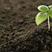 微生物菌剂浓缩桶肥母料生根壮苗改良土壤降解土壤重金属
