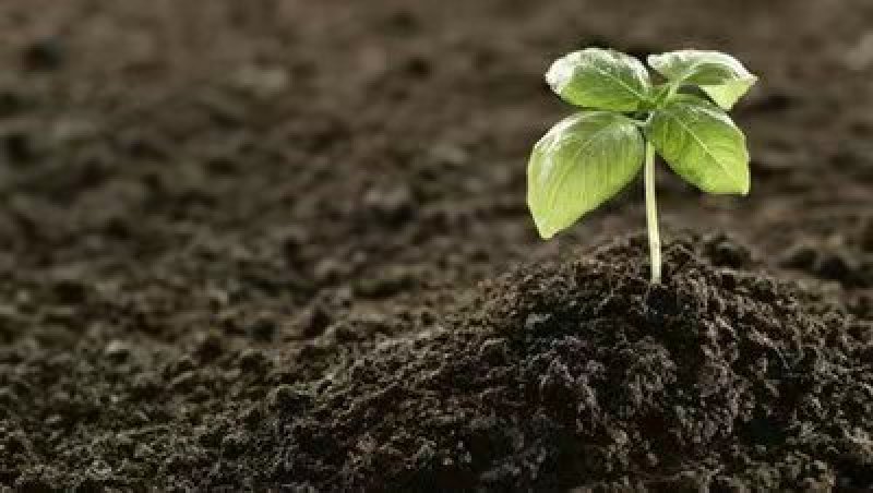 微生物菌剂浓缩桶肥母料生根壮苗改良土壤降解土壤重金属