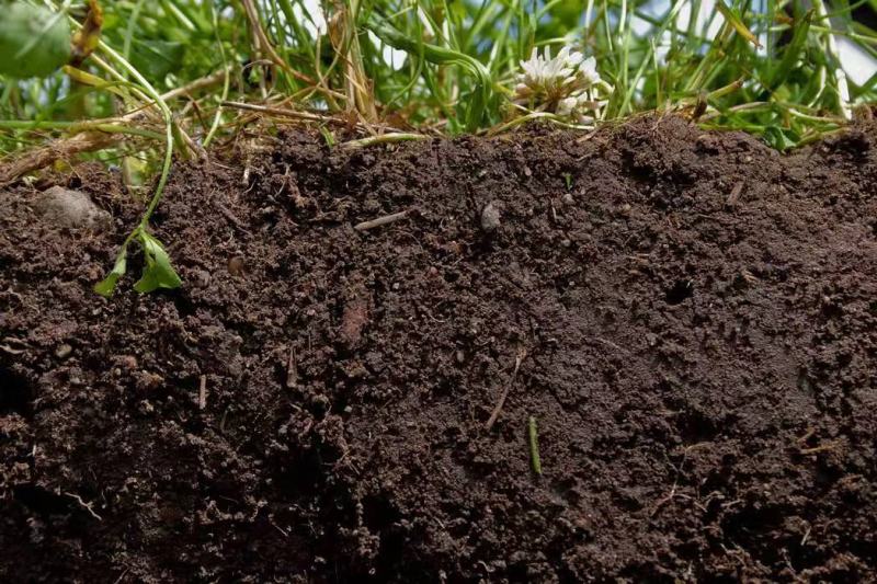 微生物菌剂浓缩桶肥母料生根壮苗改良土壤降解土壤重金属