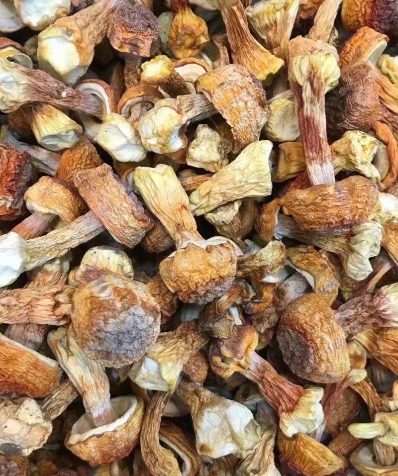 姬松茸干货碎姬松茸姬松茸帽脚云南特产蘑菇食用菌香菇菌