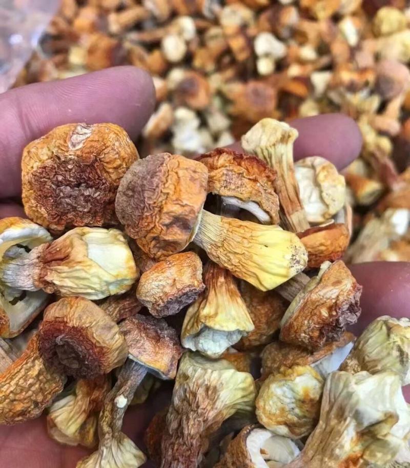 姬松茸干货碎姬松茸姬松茸帽脚云南特产蘑菇食用菌香菇菌