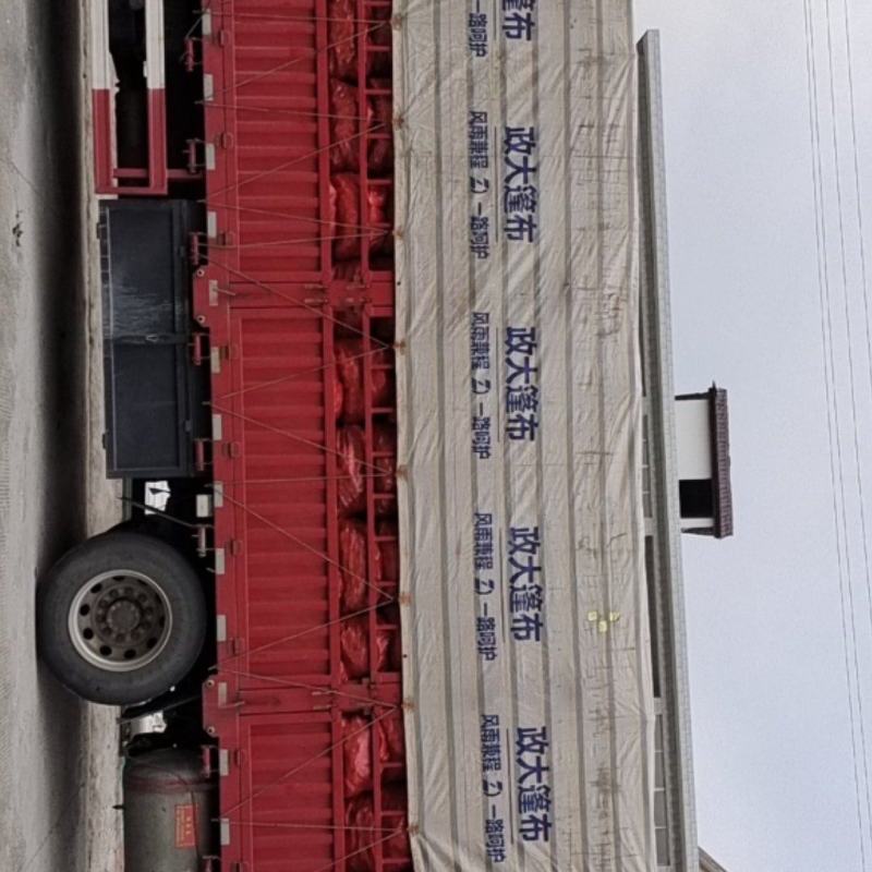 虎门一车精品小黄姜发货