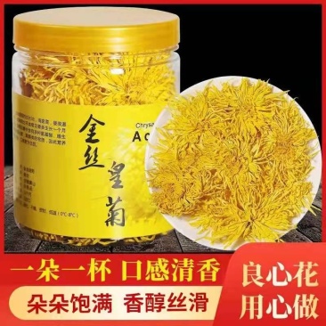 金丝皇菊菊花茶一朵一杯基地直发质量保证欢迎采购