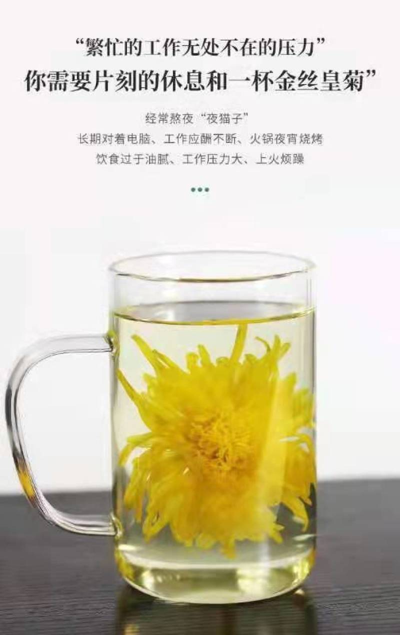 金丝皇菊菊花茶一朵一杯基地直发质量保证欢迎采购