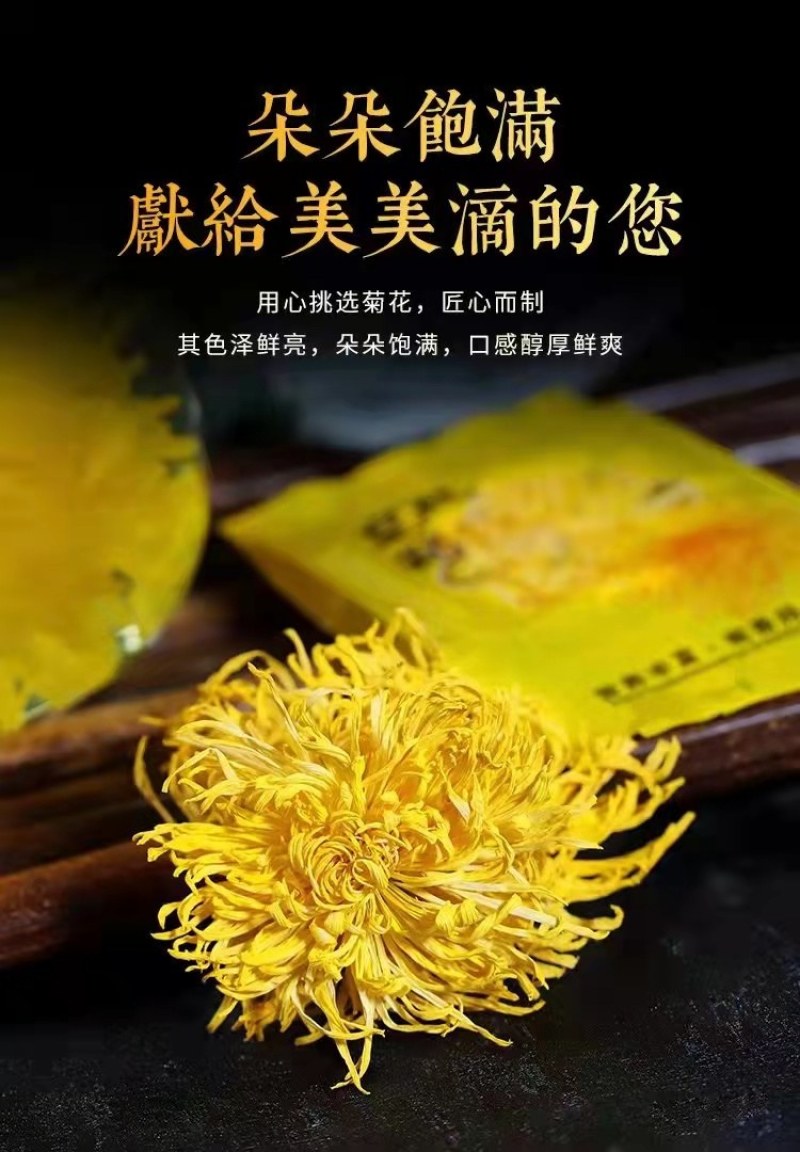 【金丝皇菊】金丝皇菊一朵一杯菊花茶基地直发欢迎采购